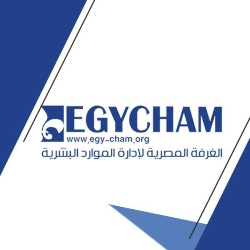 Hiring Customer Service at EgyCham