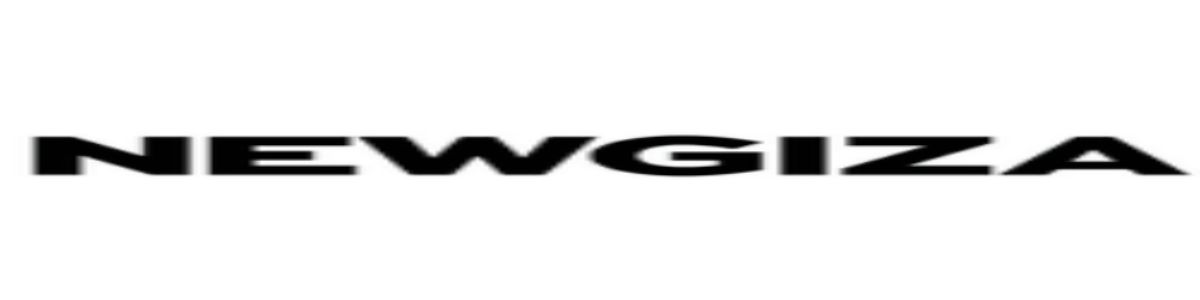 Technical Engineer Jobs At NEWGIZA
